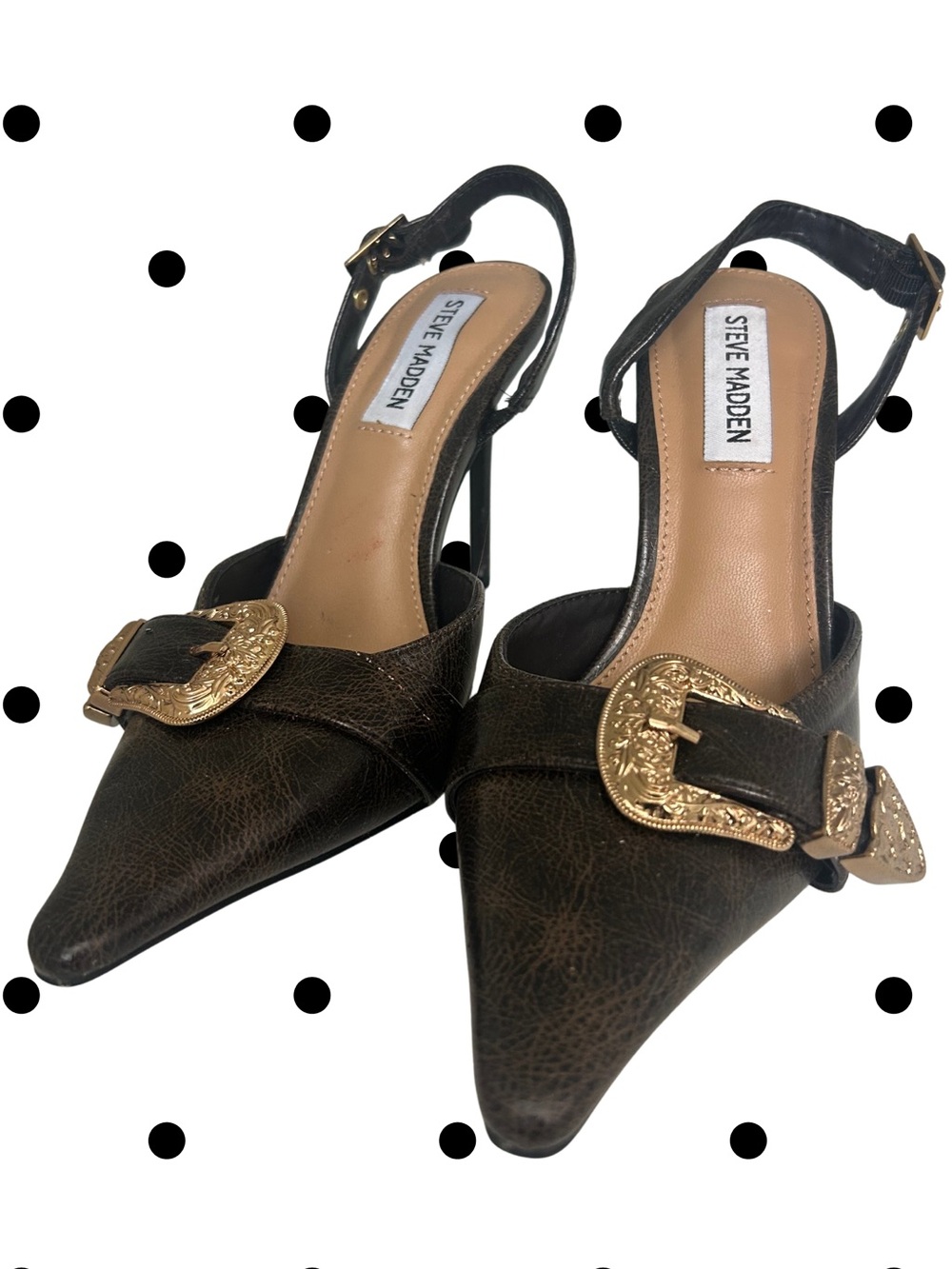 Steve Madden Dark Brown Pointed Slingback Heels with Ornate Gold Buckle
